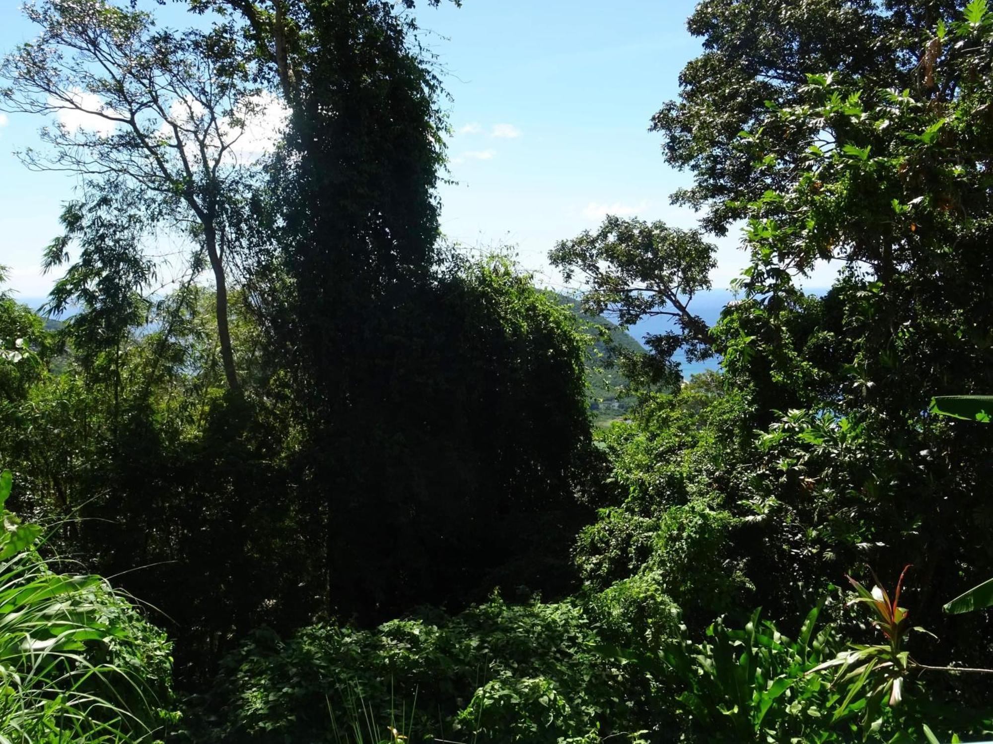 Bungalow Dourou Deshaies Bagian luar foto